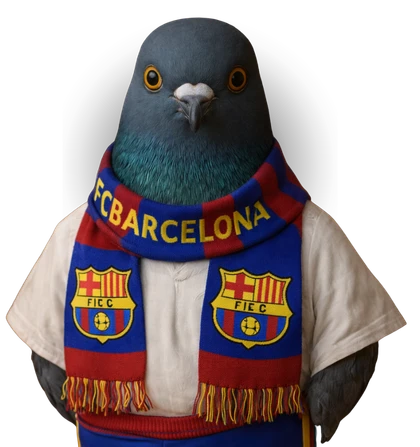 Spanish pigeon